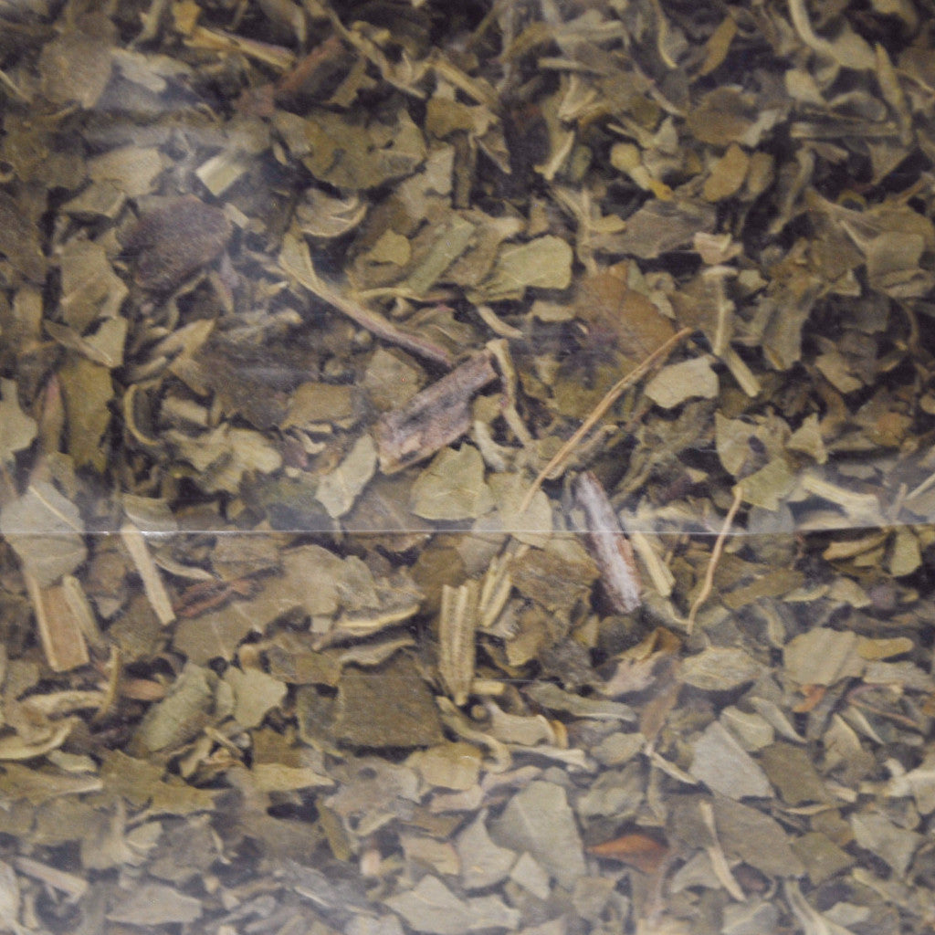 catnip dried herb